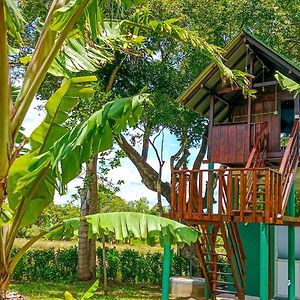 Double Room Mountain View